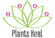 Plants Heal