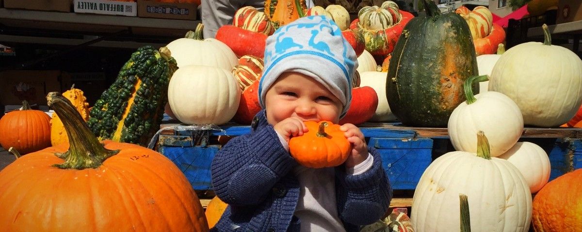 gotta love those pumpkins - Beth