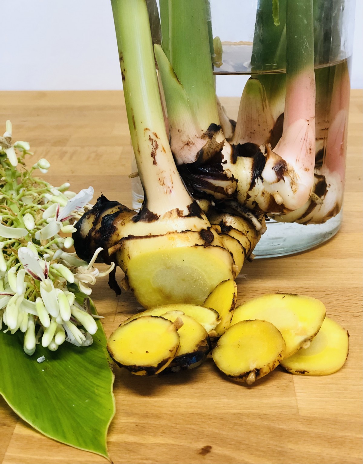 Galangal Flower