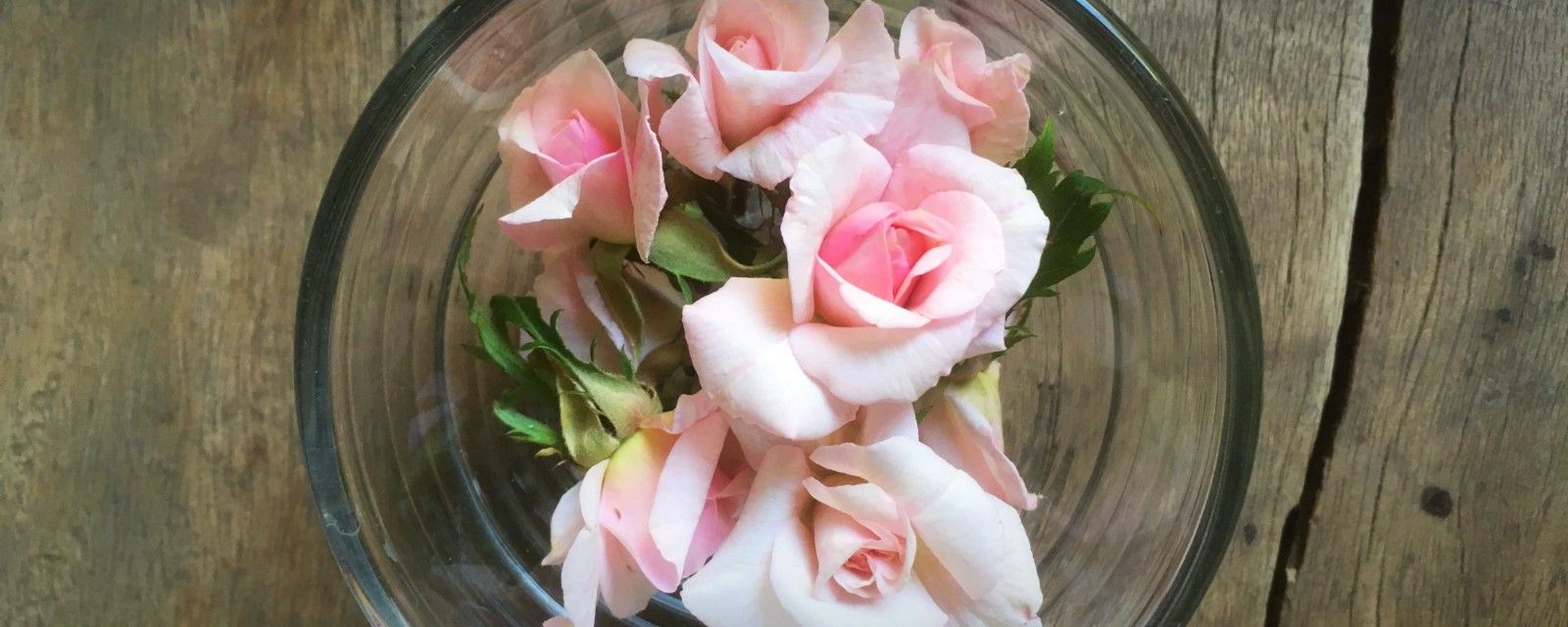 Rosa costo matchmaking