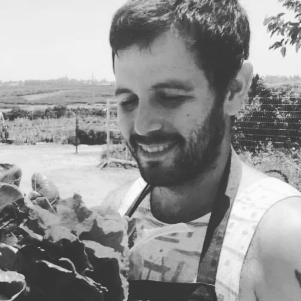 Plants Heal - Workshops and Activities - Foraging and Vegan Cuisine ...