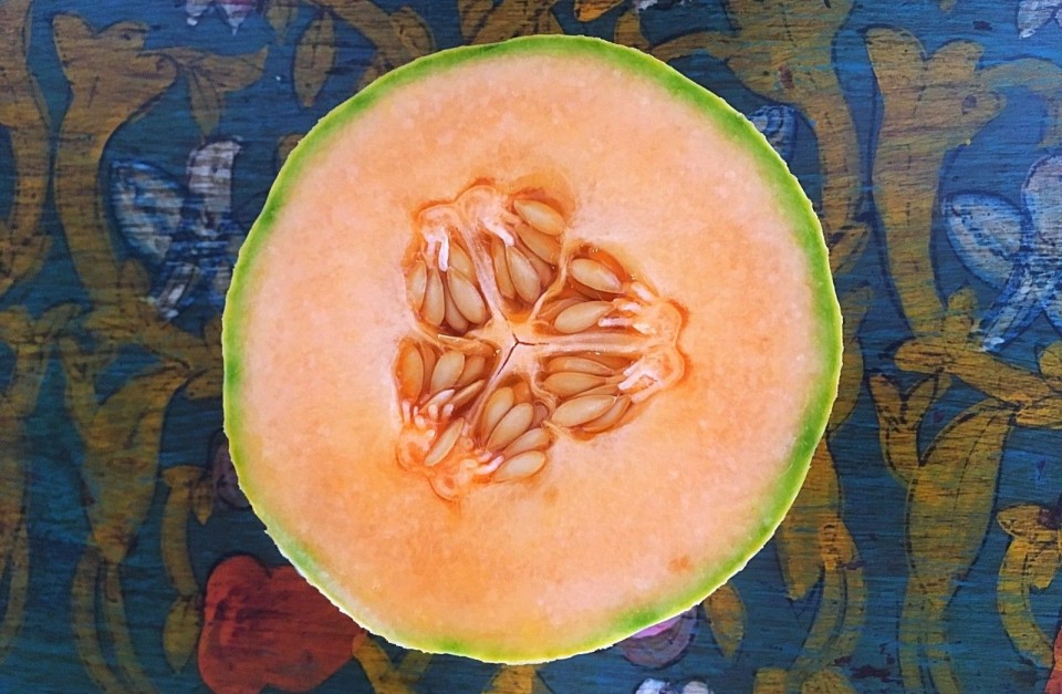 Plants Heal Fruits and Vegetables Melons, a humble yet powerful fruit